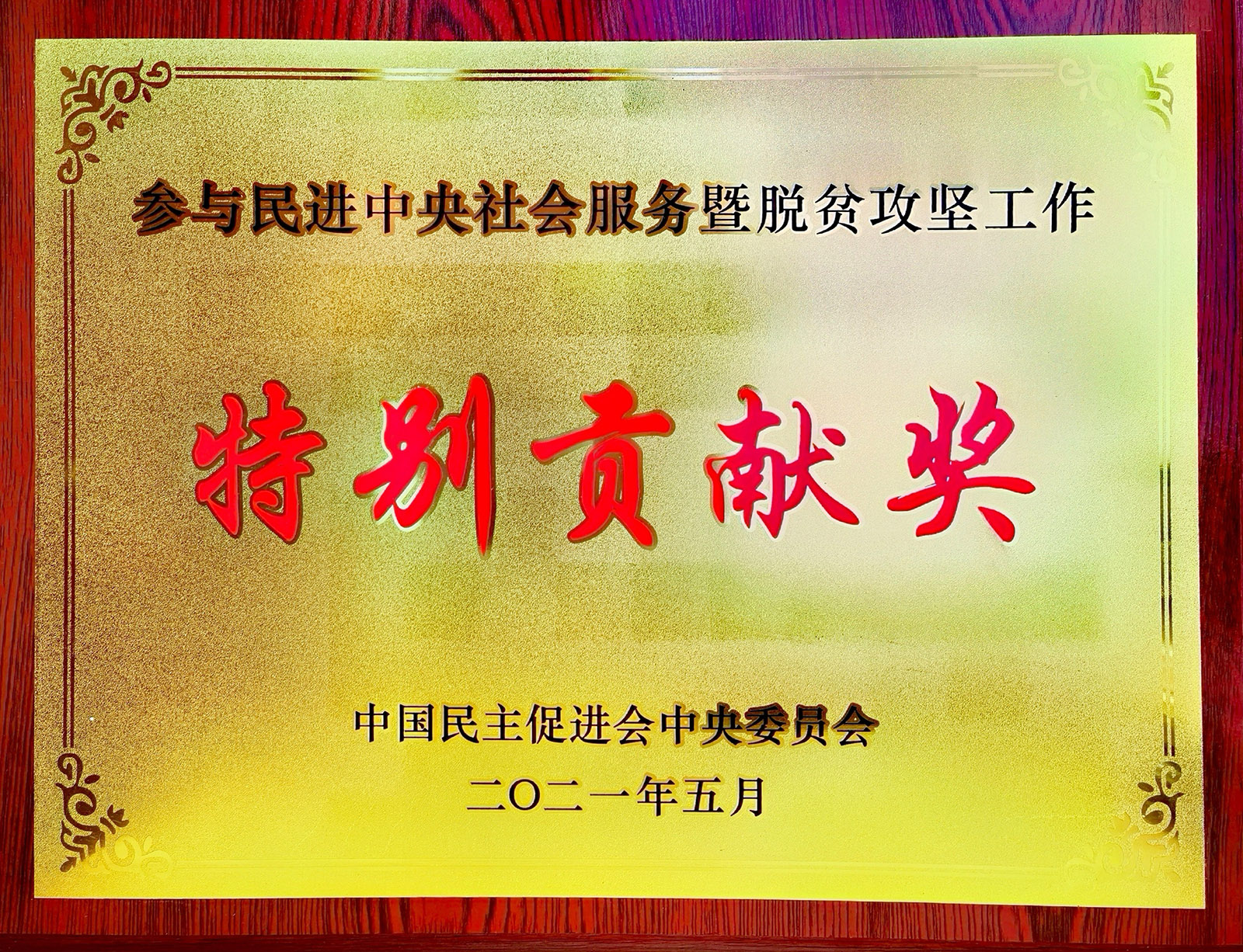 尊龙中国公司股份荣获参加民进中央社会服务暨脱贫攻坚工作出格贡献奖.jpg